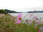 20141664 SeunghyoenLee.jpg 20141664 SeunghyoenLee.jpg